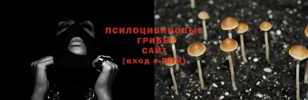 apvp Балабаново